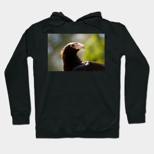 Eagle Eye Hoodie